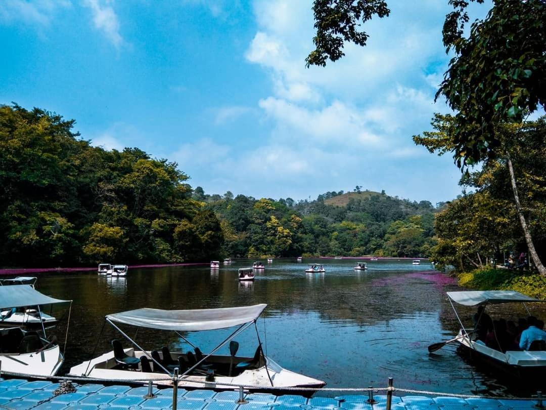 Wayanad Snow Vibes Villa Витири Екстериор снимка
