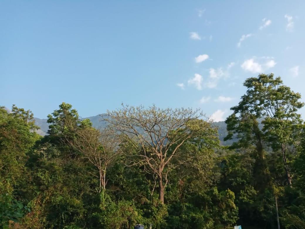 Wayanad Snow Vibes Villa Витири Екстериор снимка