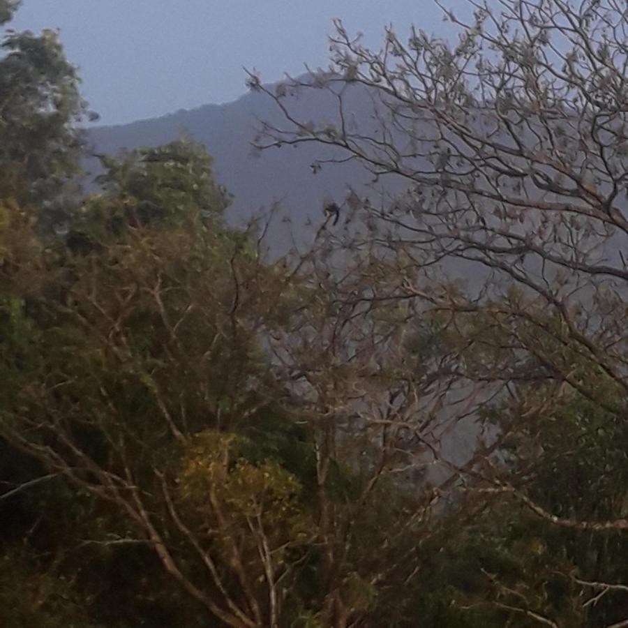 Wayanad Snow Vibes Villa Витири Екстериор снимка